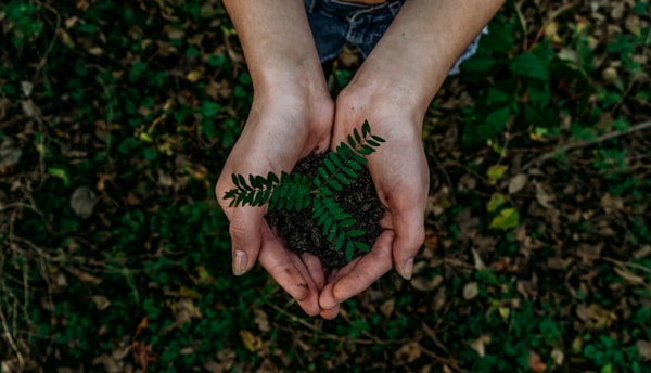 Eco Club